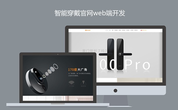 前端网站开发网站建设开发Java/PHP定制开发