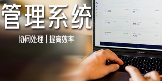 会员营销管理系统app开发商城小程序软件定制