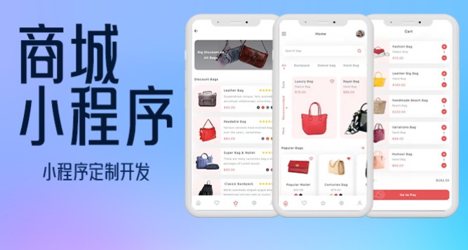 会员营销管理系统app开发商城小程序软件定制