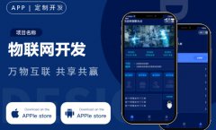电商APP开发直播教育社交商城团购医疗点餐盲盒NFT定制