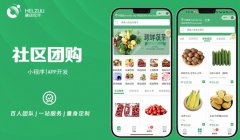 社区团购分销零售新电商APP定制秒杀拼团同城生鲜配送开发