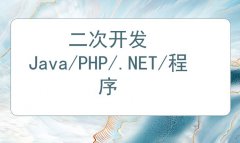 二次开发.NET/PHP/Java/程序软件开发